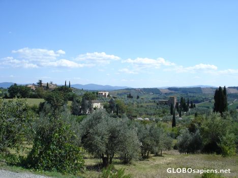 Postcard Landscape in Tuscany