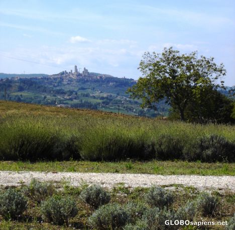 Postcard View to San Gimignano