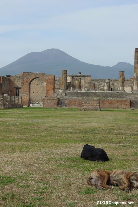 Postcard Pompeii