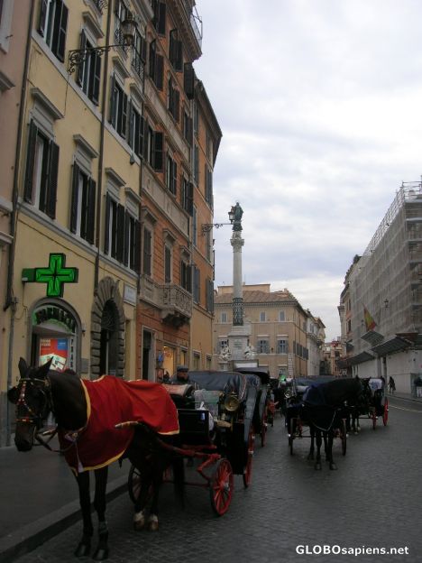 Postcard Horses in the Piazza di Spagna