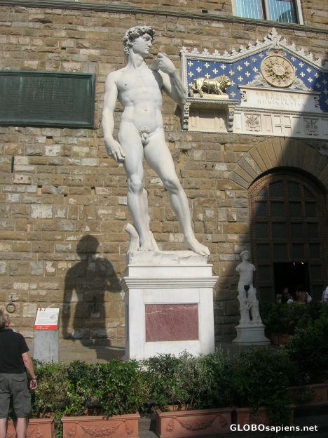 Postcard David di Michelangelo