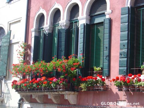 Postcard Flowers and Shutters