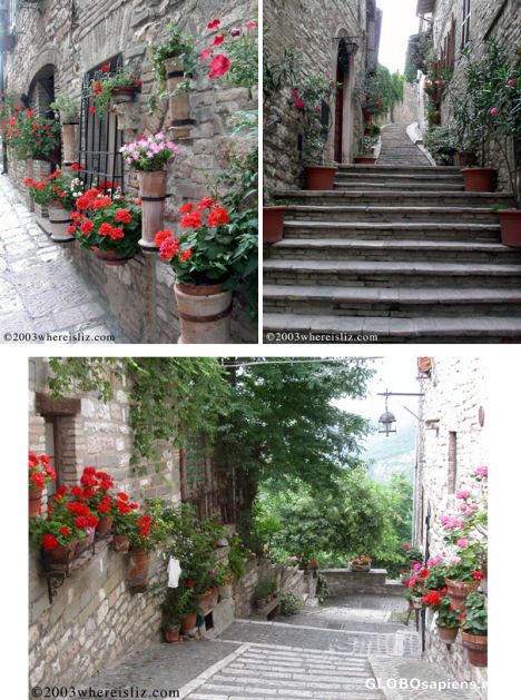 Postcard Flowering Balconies, Assisi, Italy