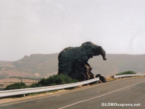 Postcard Elephant Rock