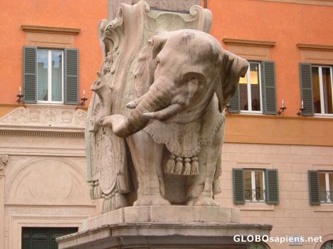 Postcard Bernini's Elephant