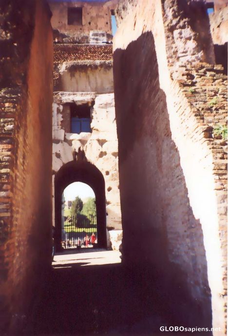 Postcard Colosseum