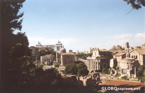 Postcard The Fourm - Ancient Rome