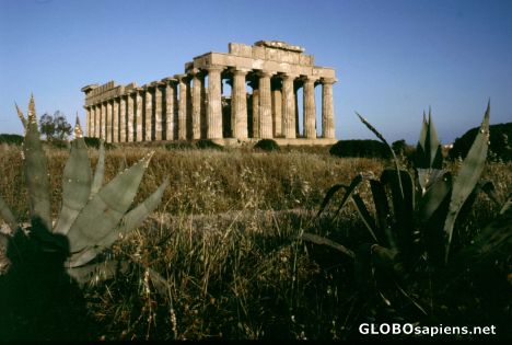 Postcard Italy, Sicilia, Selinunt, Temple E