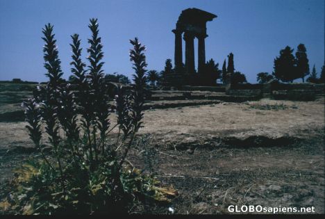 Postcard Italy, Sicilia, Agrigent, Temple Castor and Pollux
