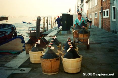 Postcard Morning Wine Delivery - Venice