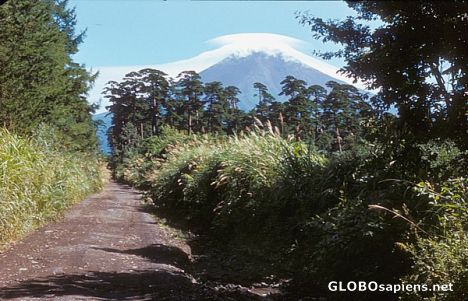 Postcard My trail to Mt Fuji
