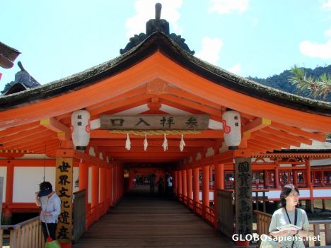 Postcard Itsukushima Shrine