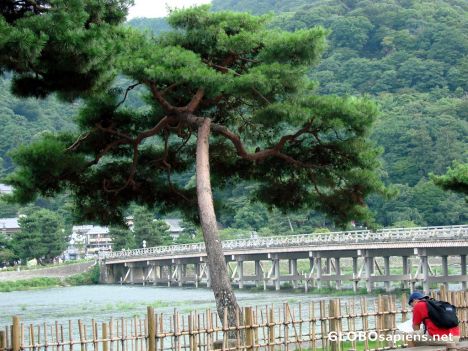 Postcard Togetsukyo Bridge