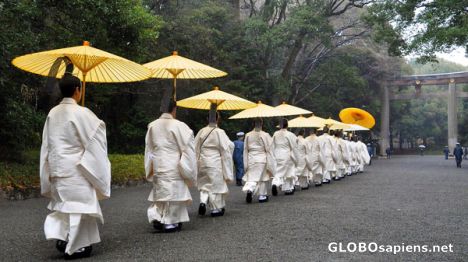 Postcard Shinto Priests at Meiji Shrine, Tokyo