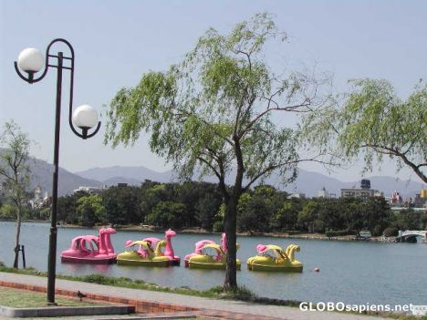 Postcard pink bird boats in Ohori Park