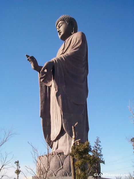 Postcard Large Buddha in Ushiku