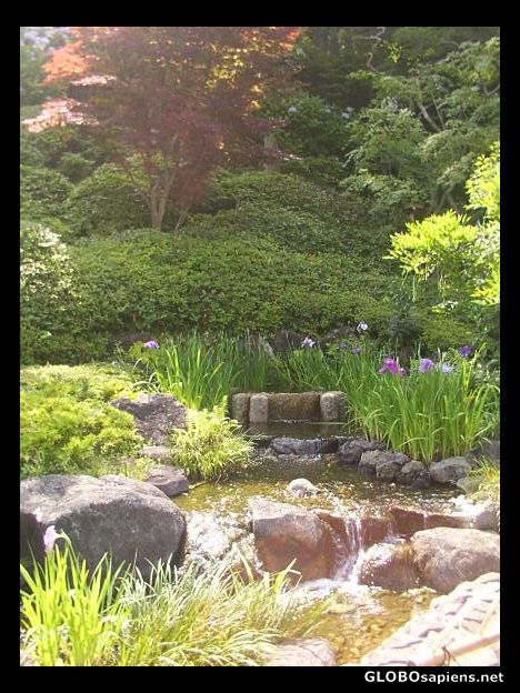 Postcard A beautiful japanese garden