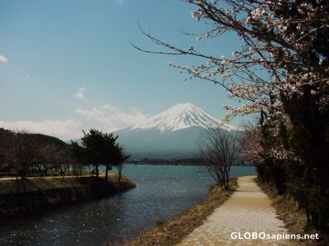 Postcard Fuji mountain