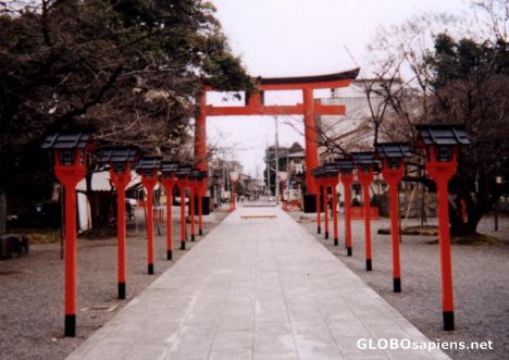 Postcard Hirano Shrine