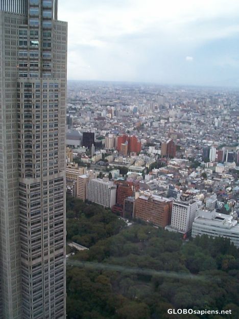 Postcard View of Shinjuku from Sumitomo Building, 51st Fl