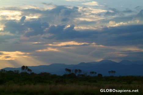 Postcard Meru National Park at sunset