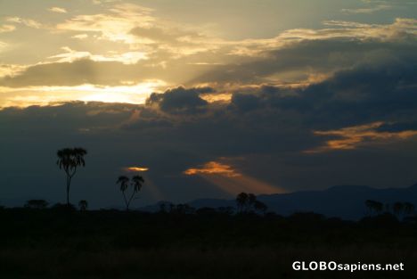 Postcard Meru National Park before the rain