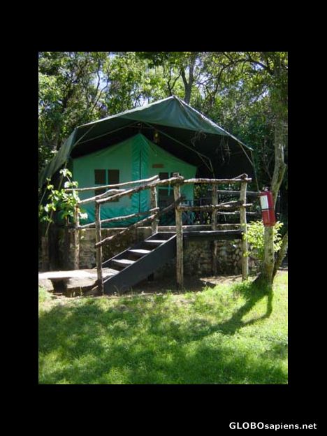 Postcard Tent at Kichwa Temba Tented Camp