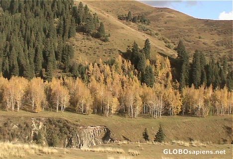 Postcard Autumn colors in Karkara Valley