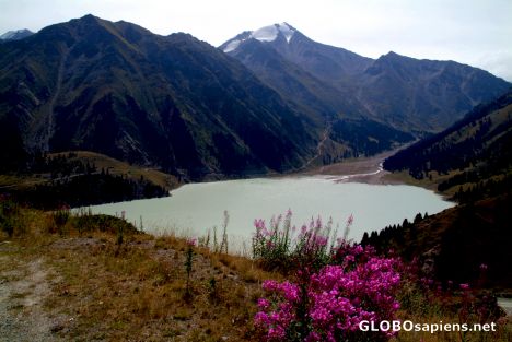 Postcard Big Almaty Lake Flowers