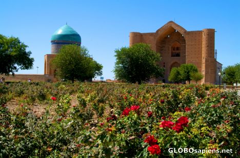 Postcard Turkistan - roses at the complex