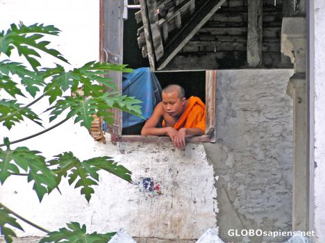 Postcard Monk at the window