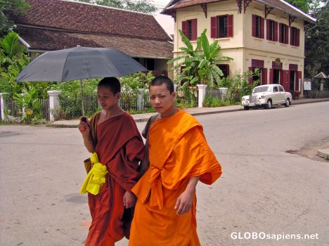 Postcard Monks