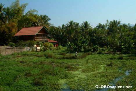 Postcard Luangprabang - piece of agrar land