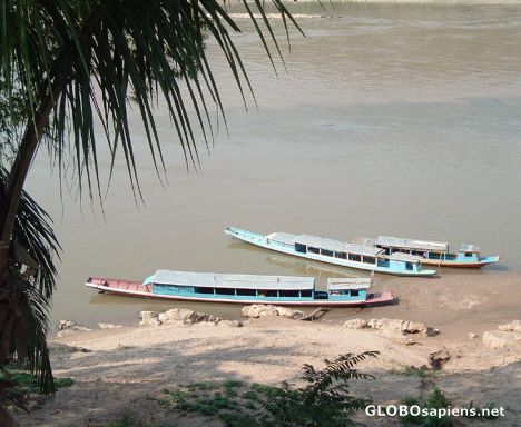 Postcard River Boats