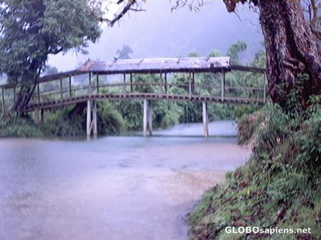 Postcard Foot Bridge in Rain