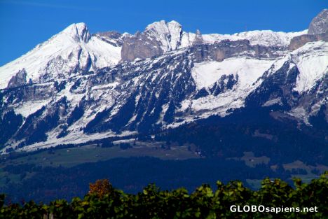 Postcard Vaduz - mountains over vineyard