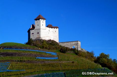 Postcard Balzers - the castle on a vine hill