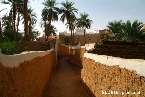 Postcard Ghadames - street into the new town