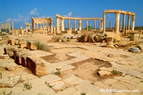 Postcard Leptis Magna (LY) - the overview of the Market