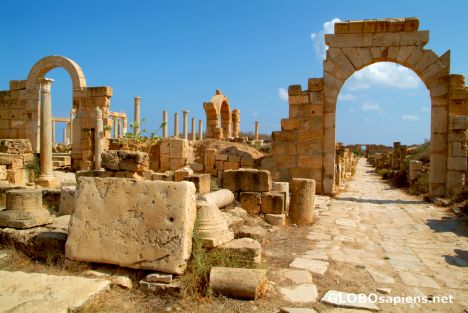 Postcard Leptis Magna (LY) - the main avenue