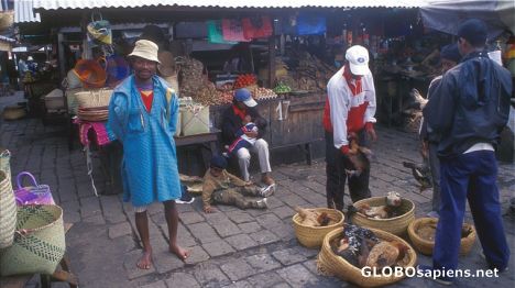 Postcard Poverty in the bazaar