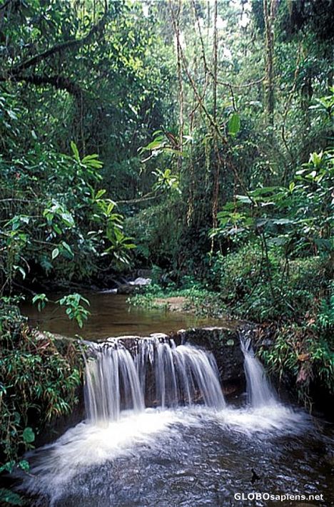 Postcard Waterfall in the jungle