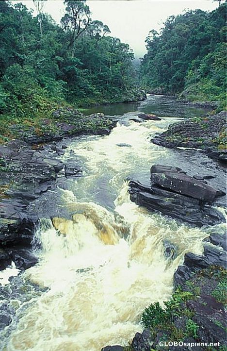 Postcard Rapids on the mountain river