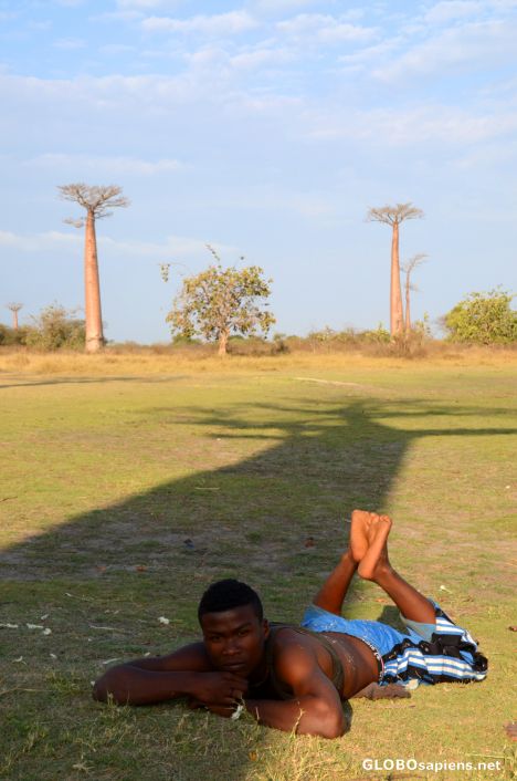 Postcard Morondava (MD) - relaxing in baobab's shadow