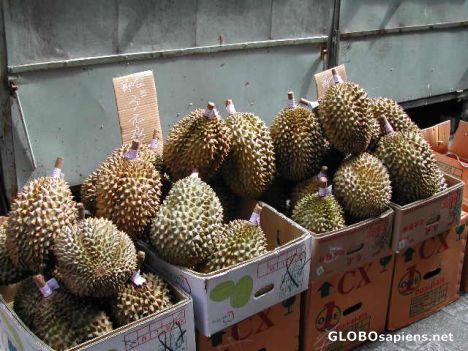 Postcard Durian fruit in Macau alleyway