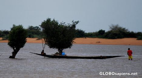 Postcard On the Niger river