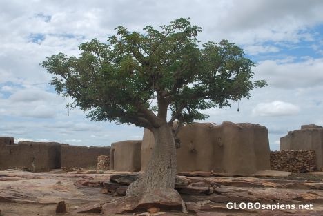 Postcard Baobab in the middle of the village