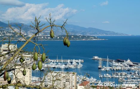 Postcard View of Monaco