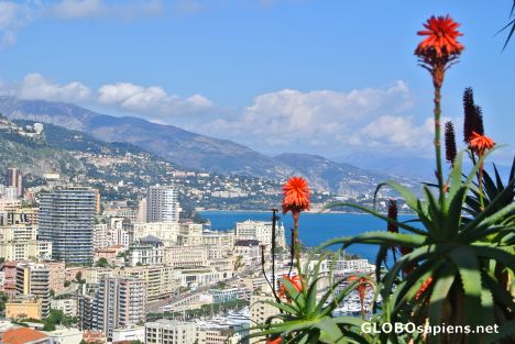 Postcard Beautiful view of Monaco