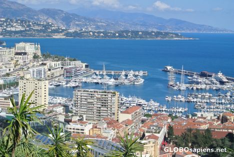 Postcard Marina in Monaco